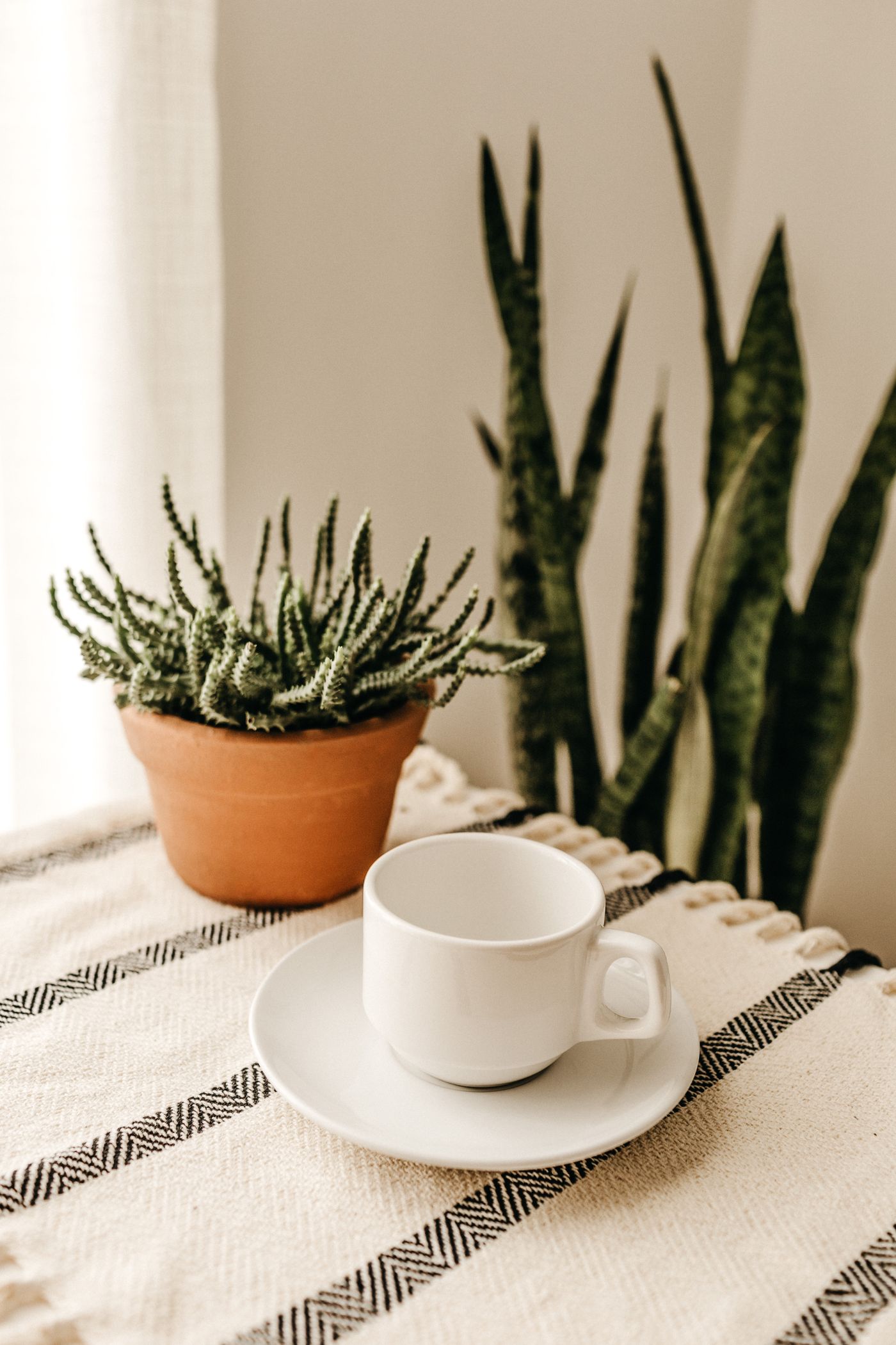 A calm daily ritual